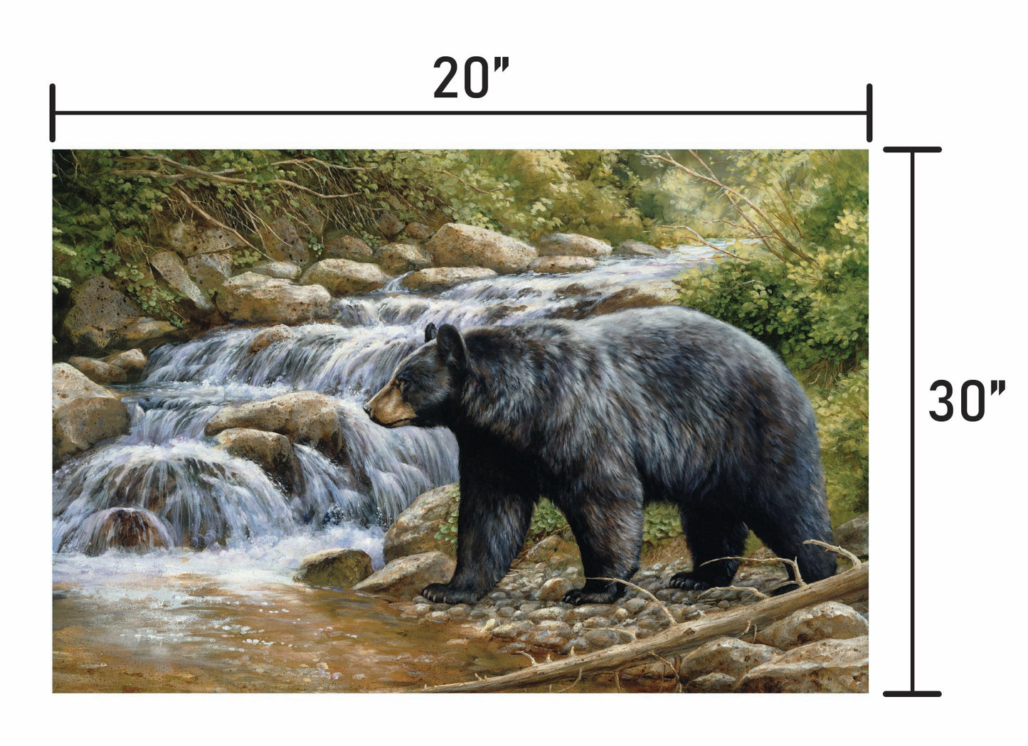 Shadow of the Forest