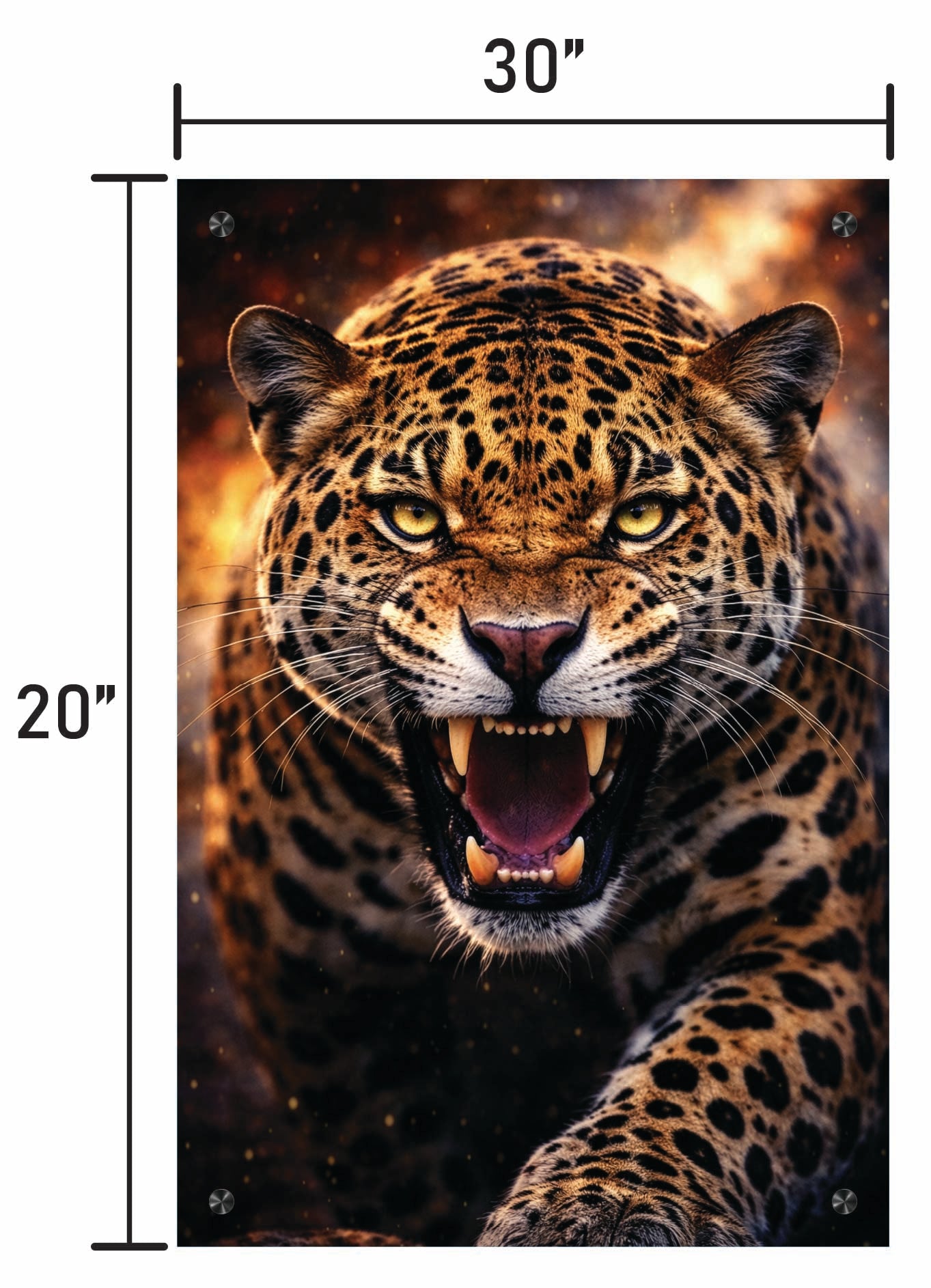 Imposing Jaguar