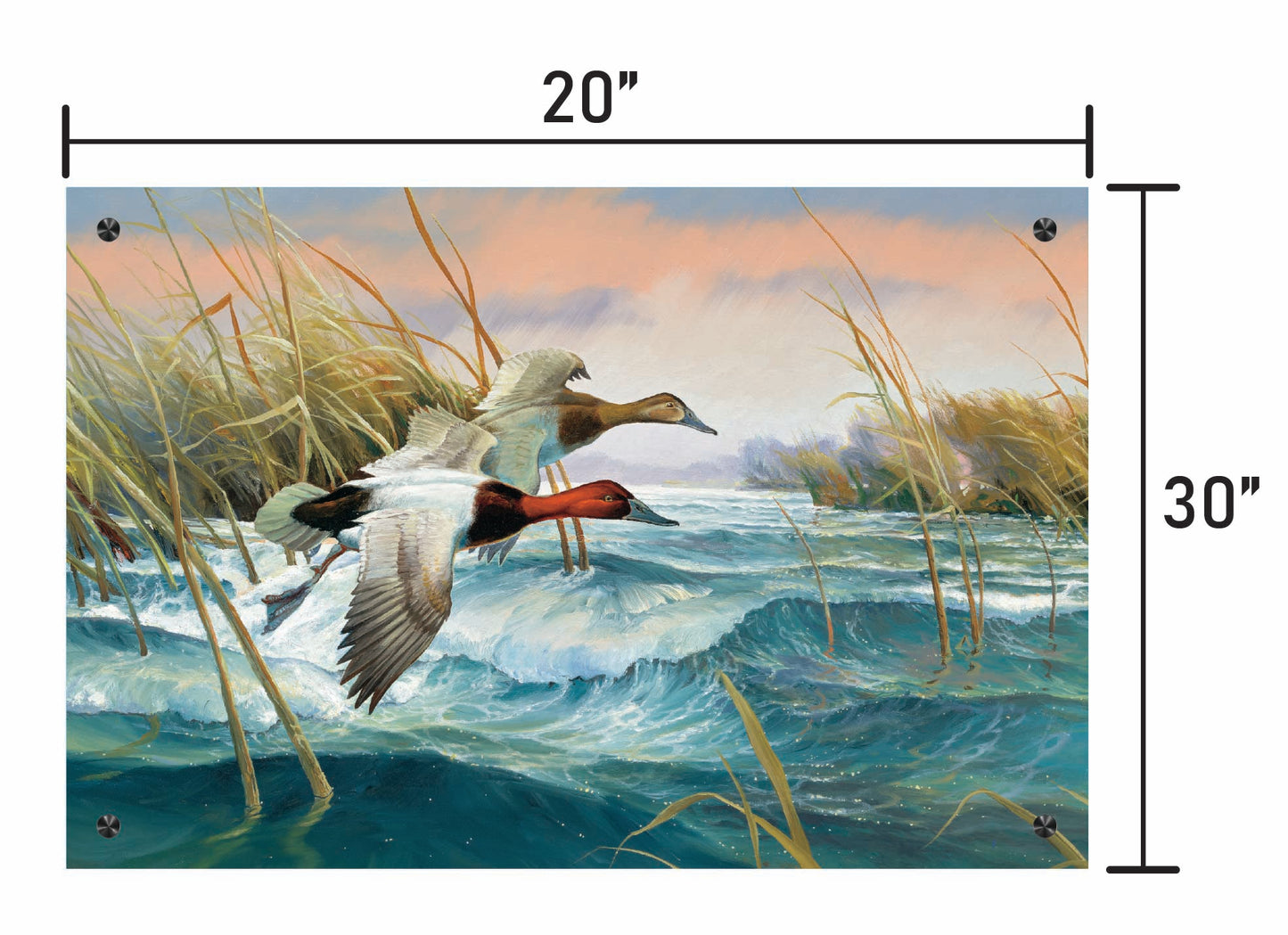 Wave Runners-Canvasbacks