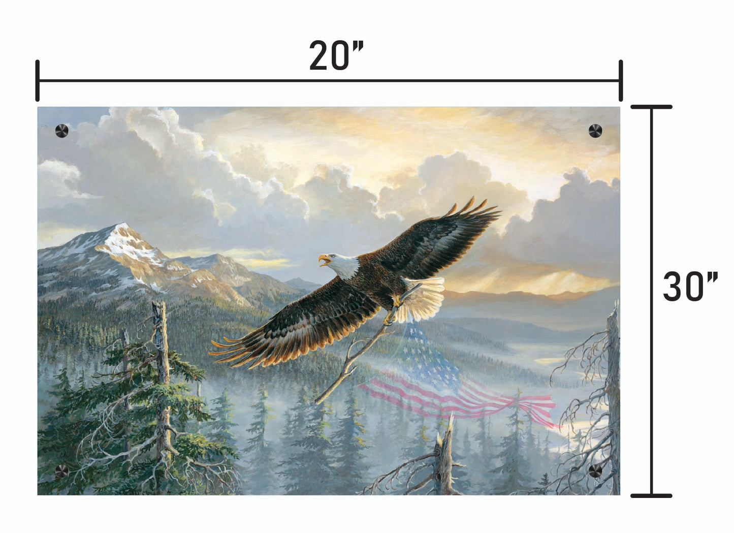 Rebuilding America-Bald Eagle