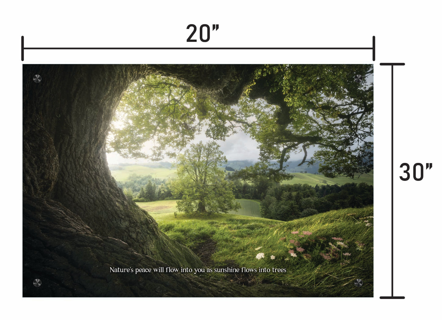 Meadows Edge  w/ Quote