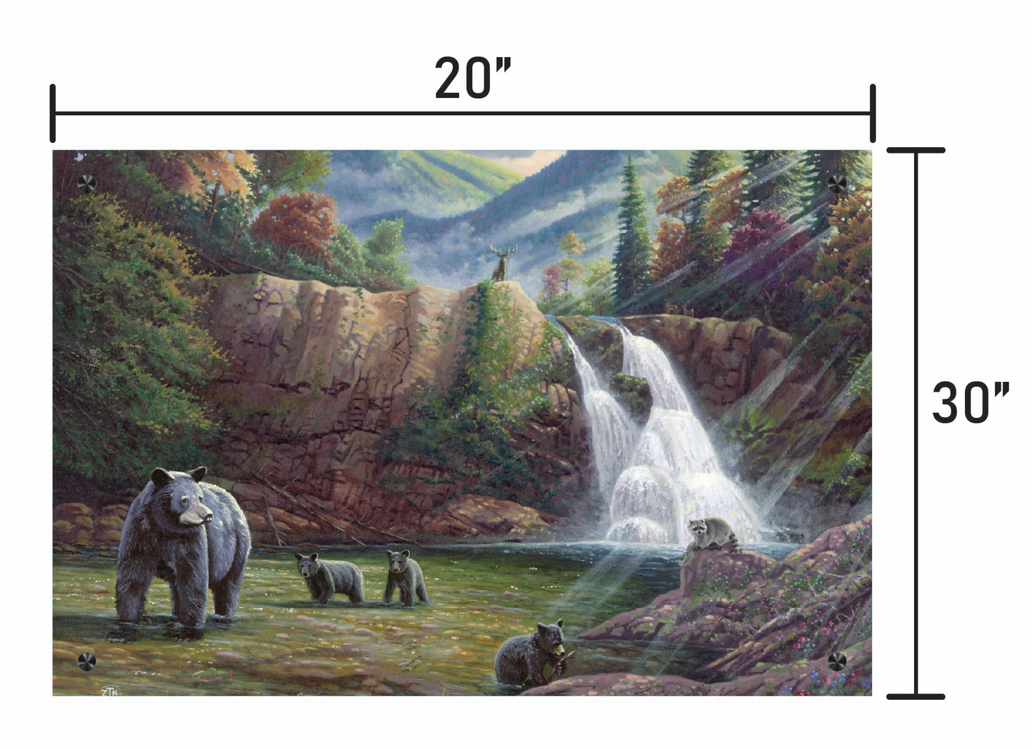 Spirit of the Smokies