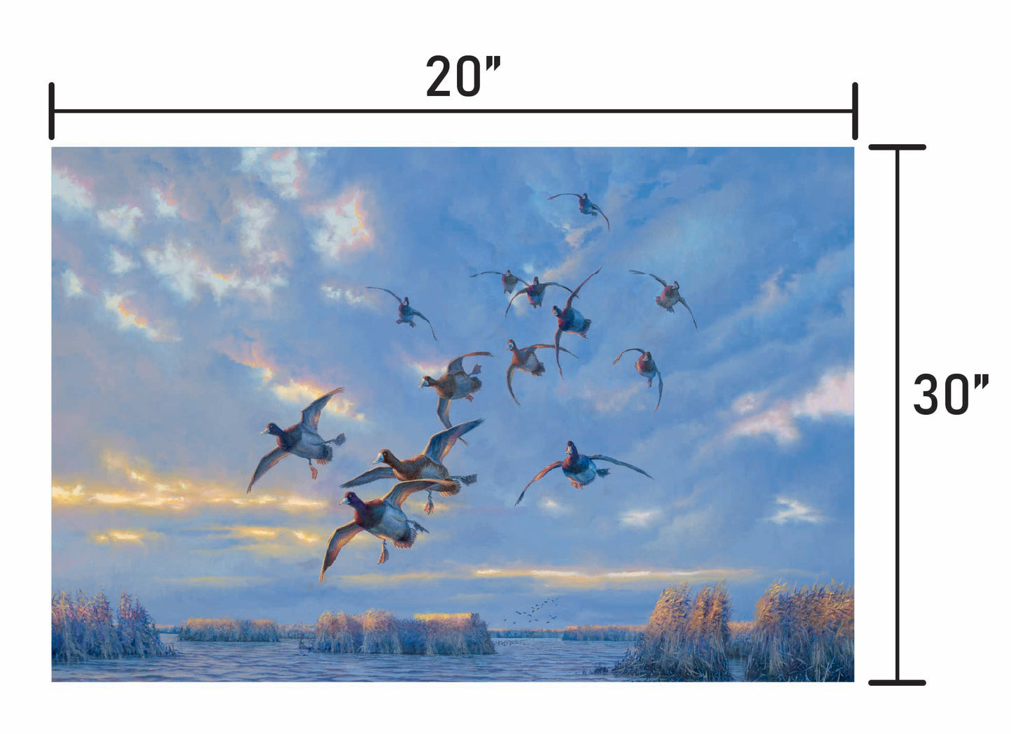 The Straights - Bluebills