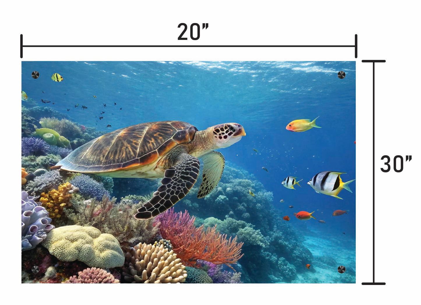 Guardians of the Reef