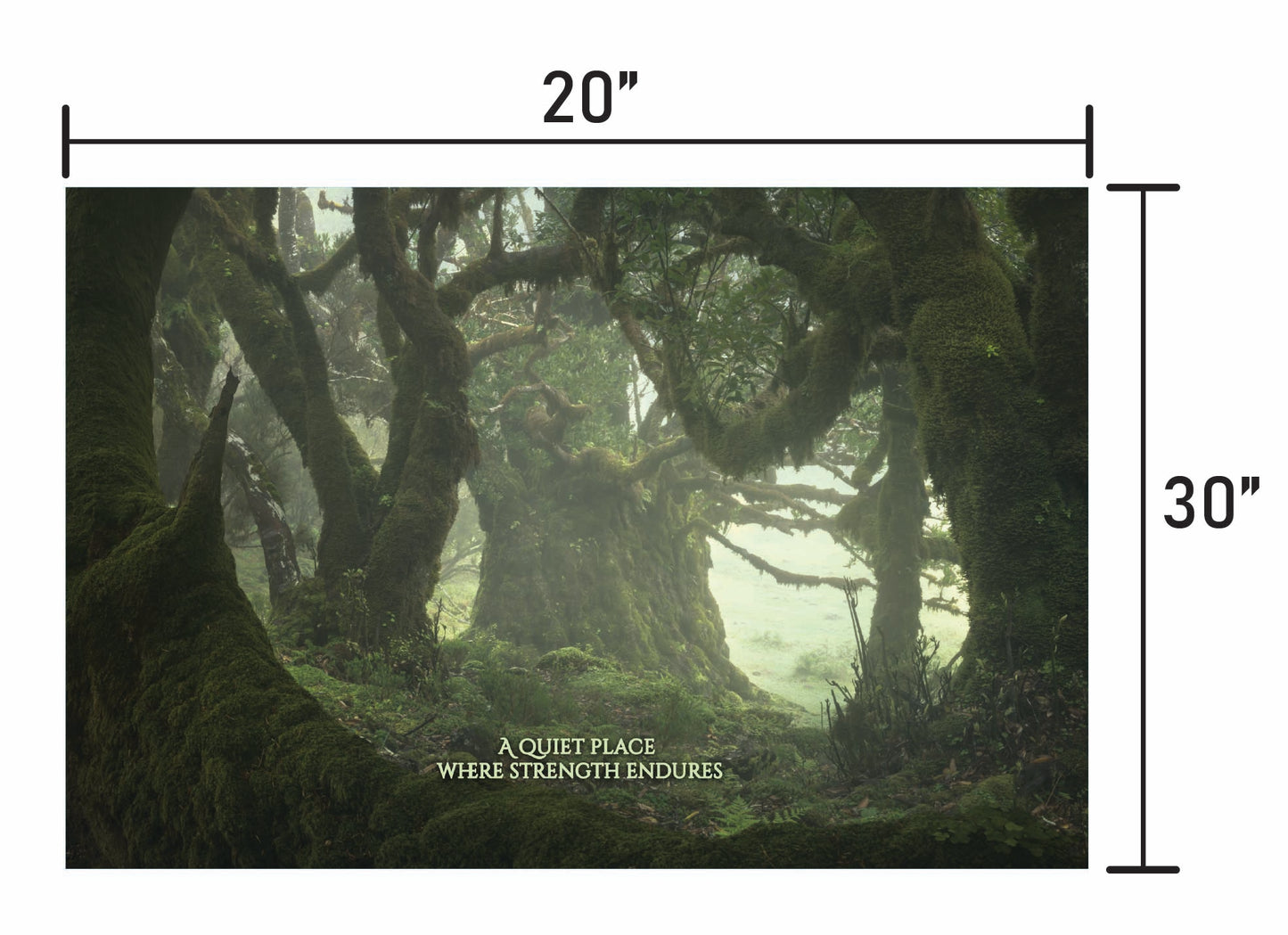 Among the Ancients w/ Quote