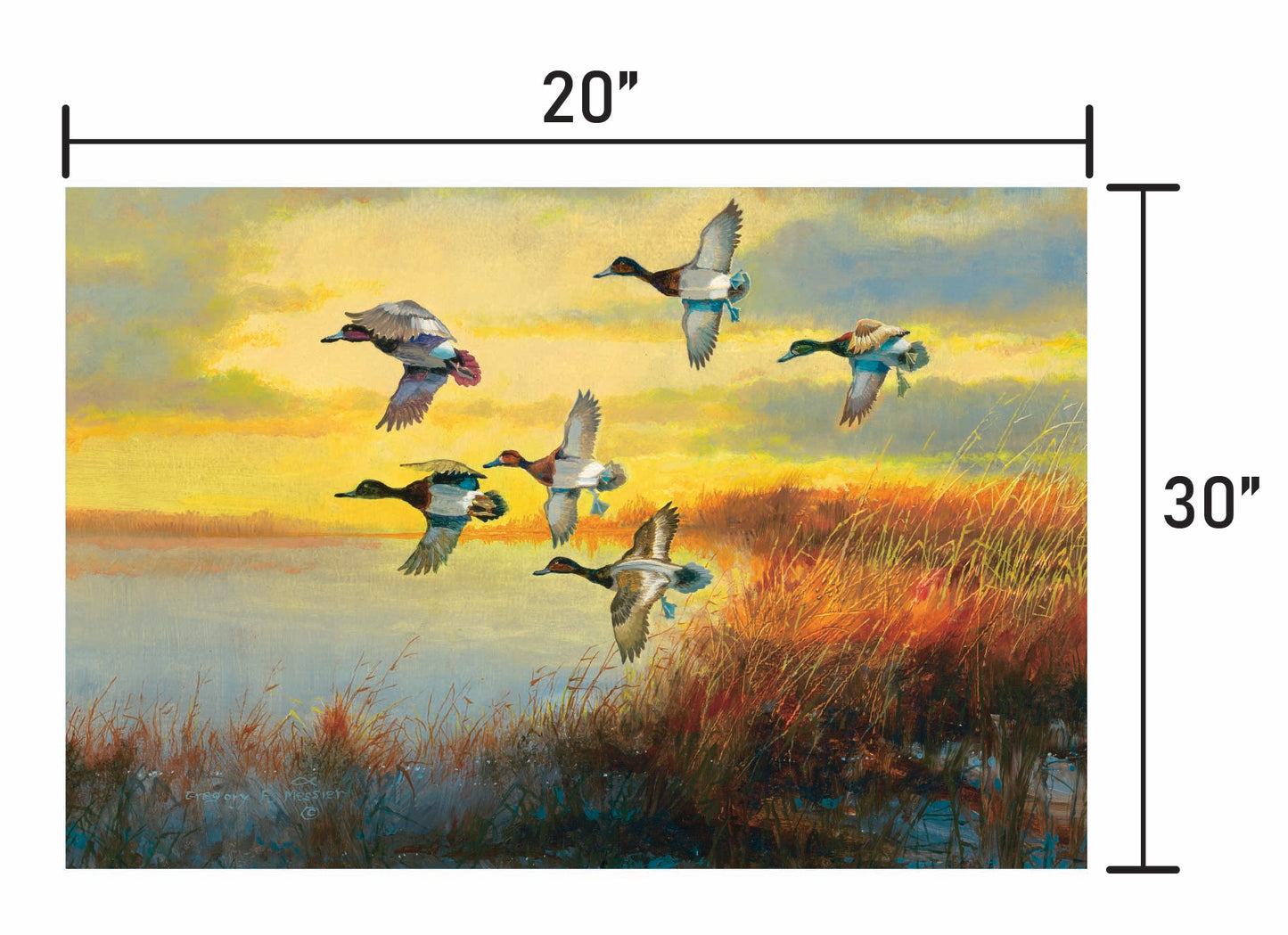 Autumn Sunrise-Bluebills