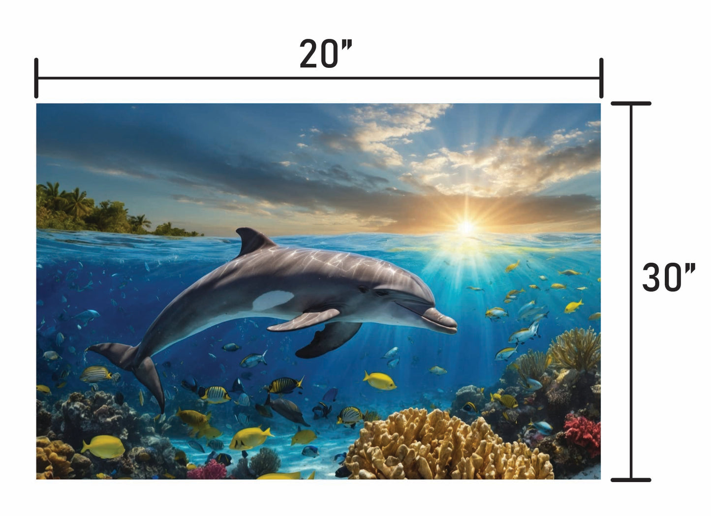 Dolphin Swimming in Coral
