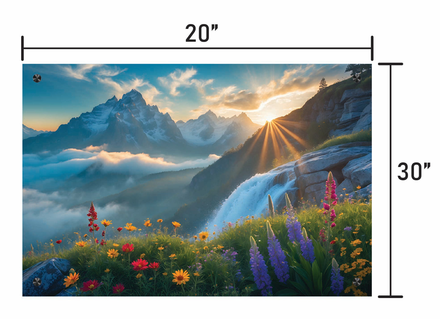 Flowers and Mountains
