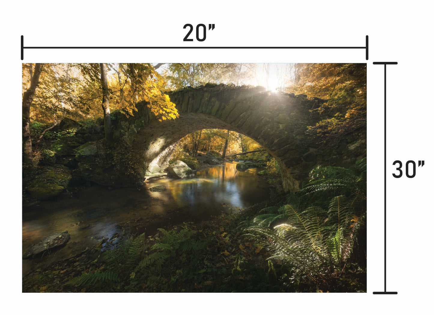 When Time Stood Still