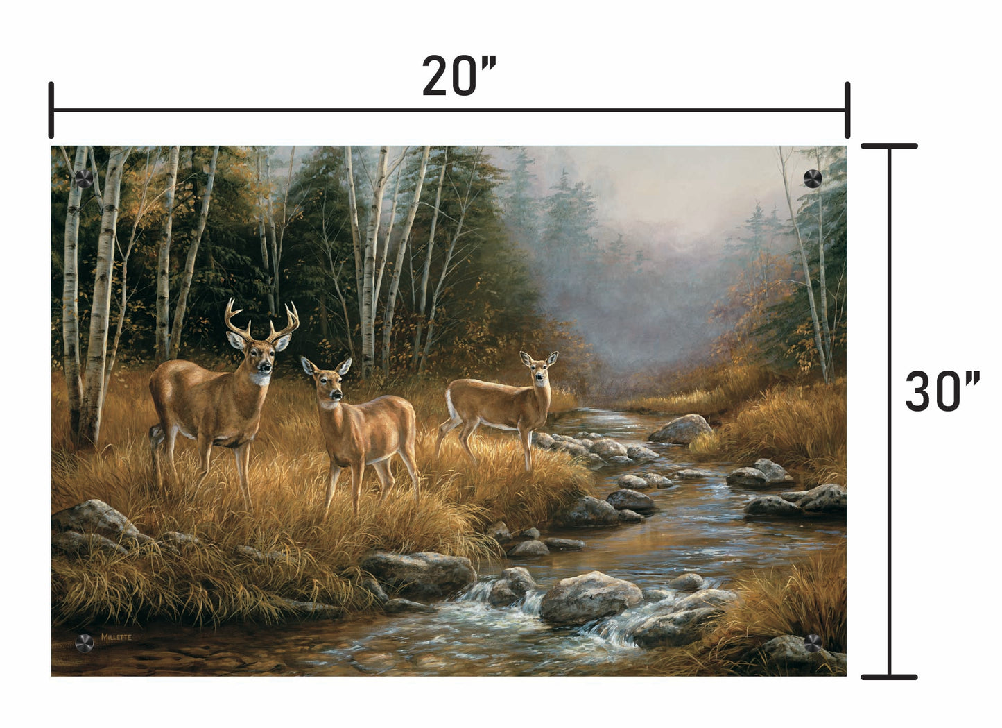 October Mist-Whitetail Deer