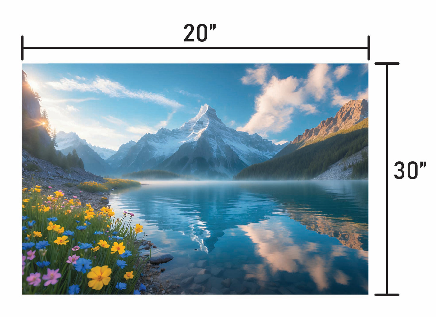 Wildflowers and Mountains