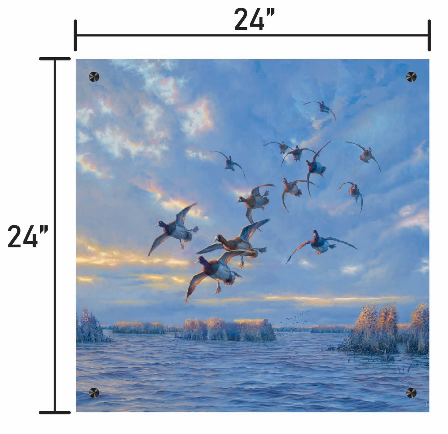 The Straights - Bluebills