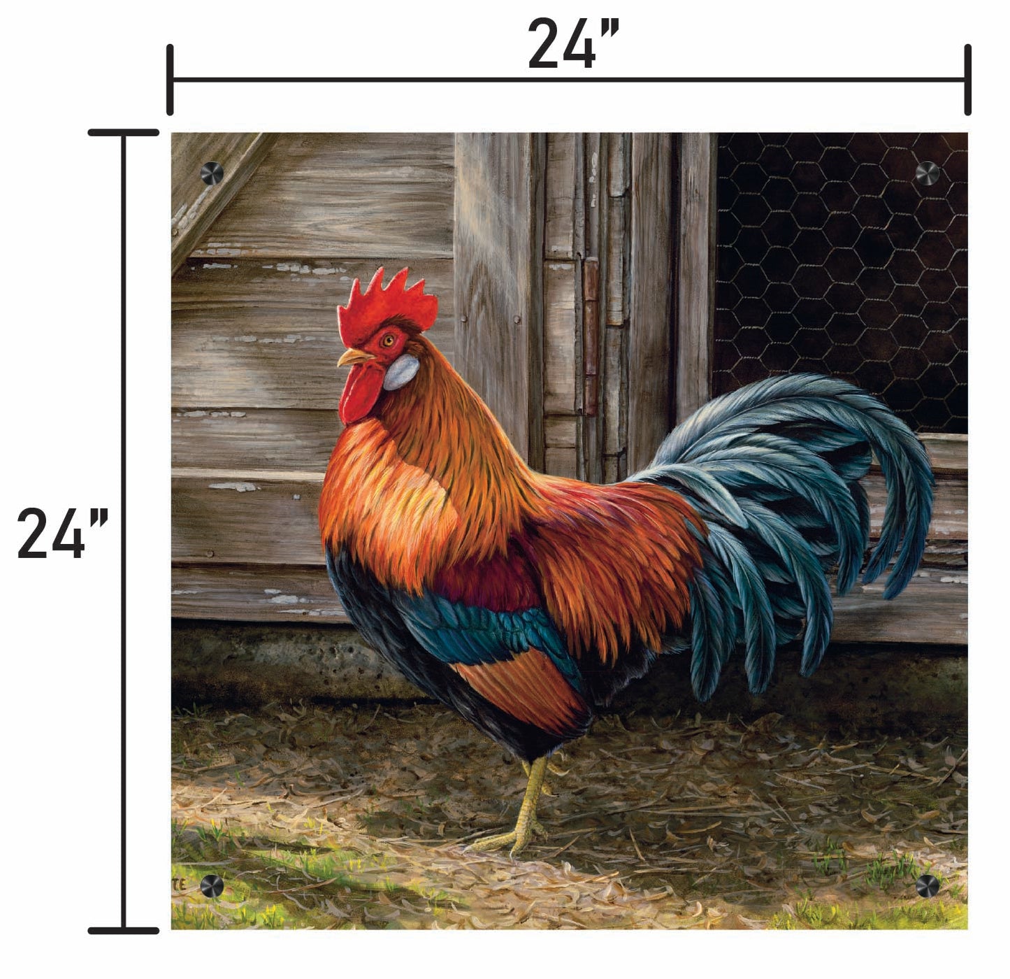 Light Brown Chicken Rooster