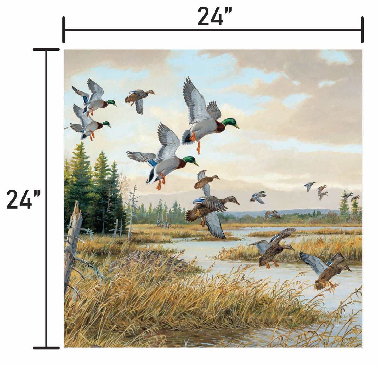 Hidden Pond-Mallards