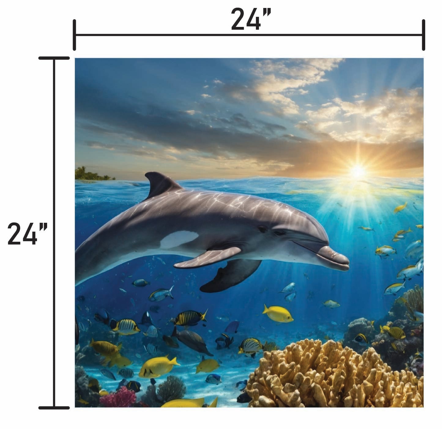 Dolphin Swimming in Coral