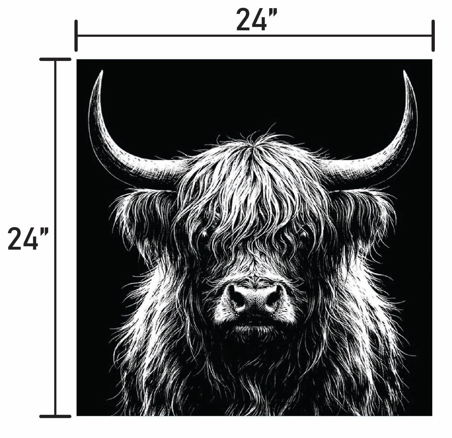 B&W Higlinder Cow 3