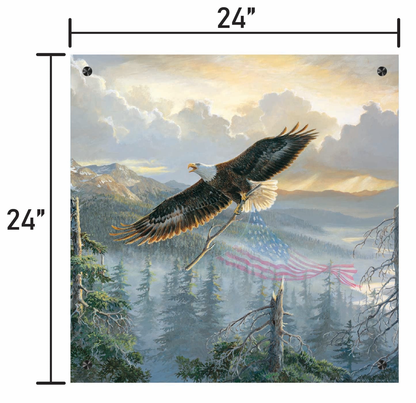 Rebuilding America-Bald Eagle