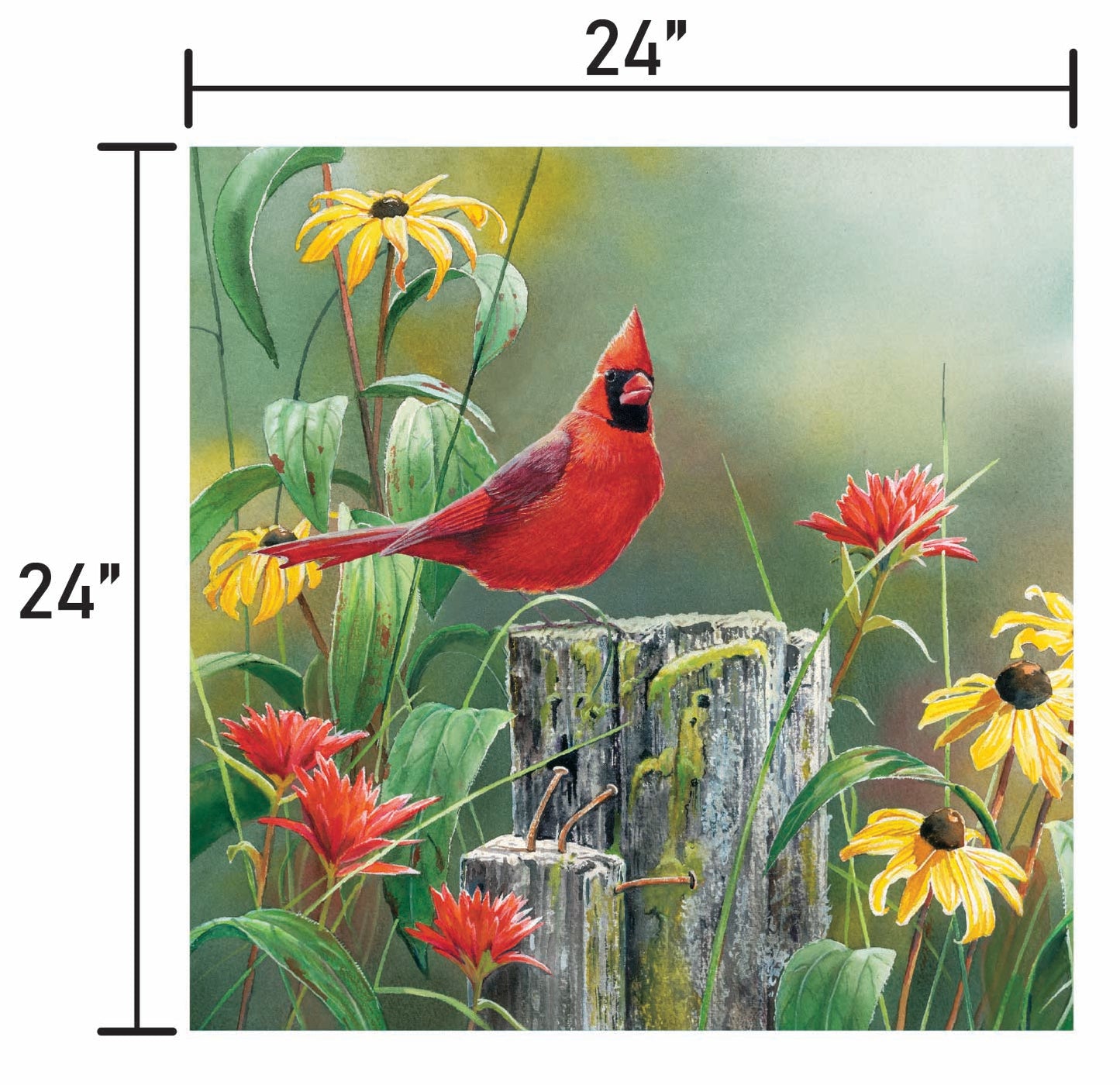 Greeting the New Day Cardinal