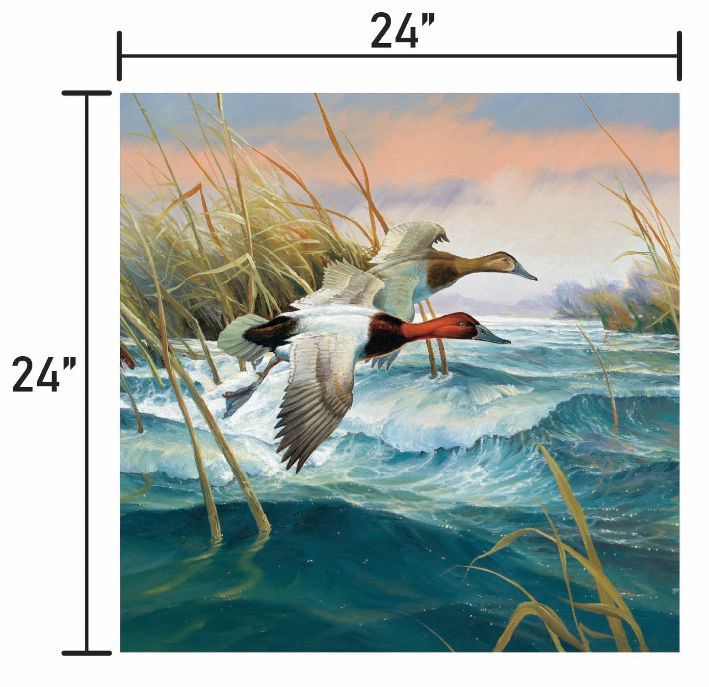 Wave Runners-Canvasbacks
