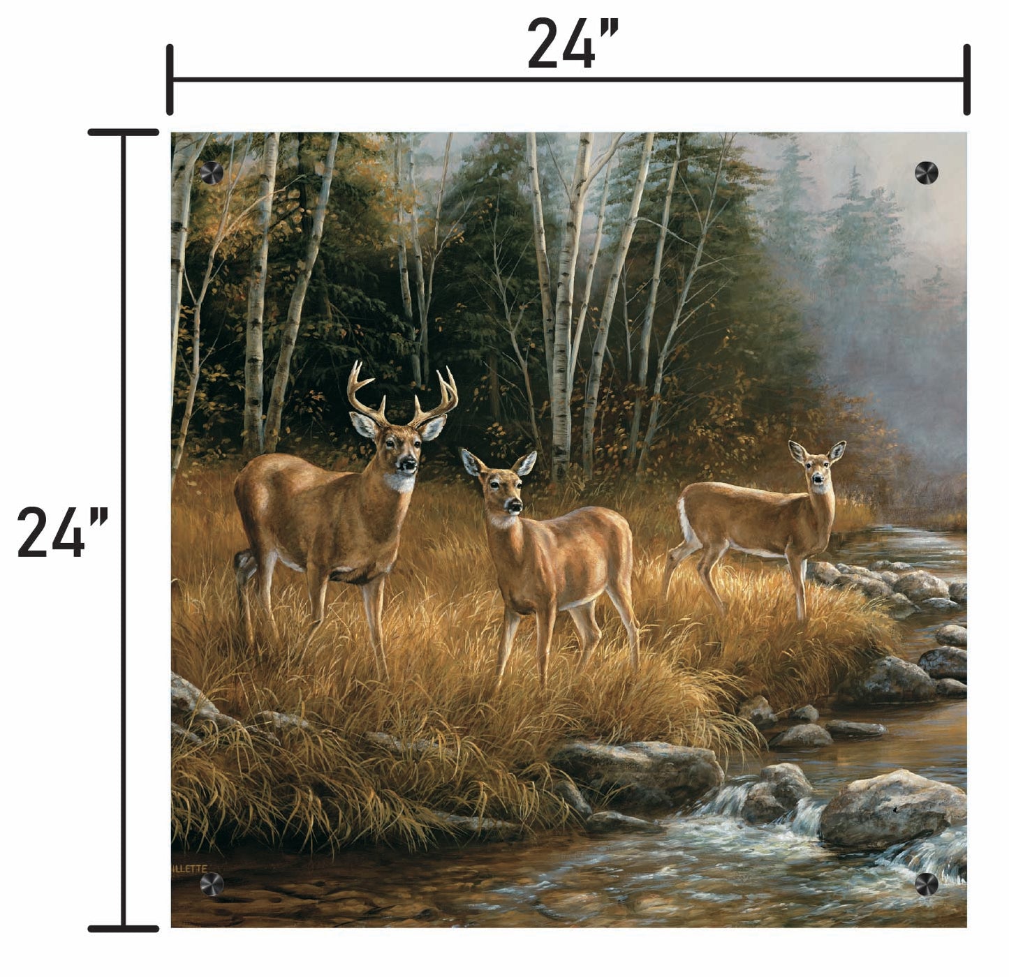 October Mist-Whitetail Deer