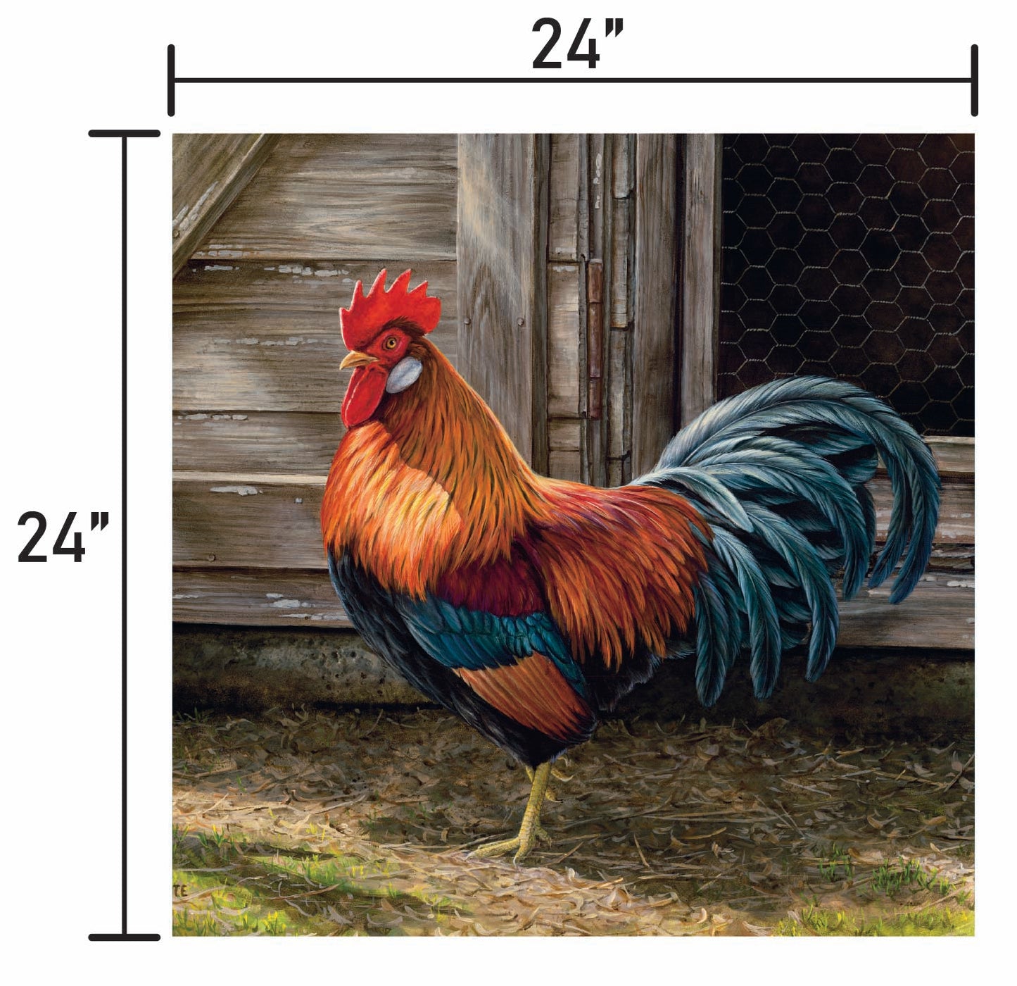 Light Brown Chicken Rooster
