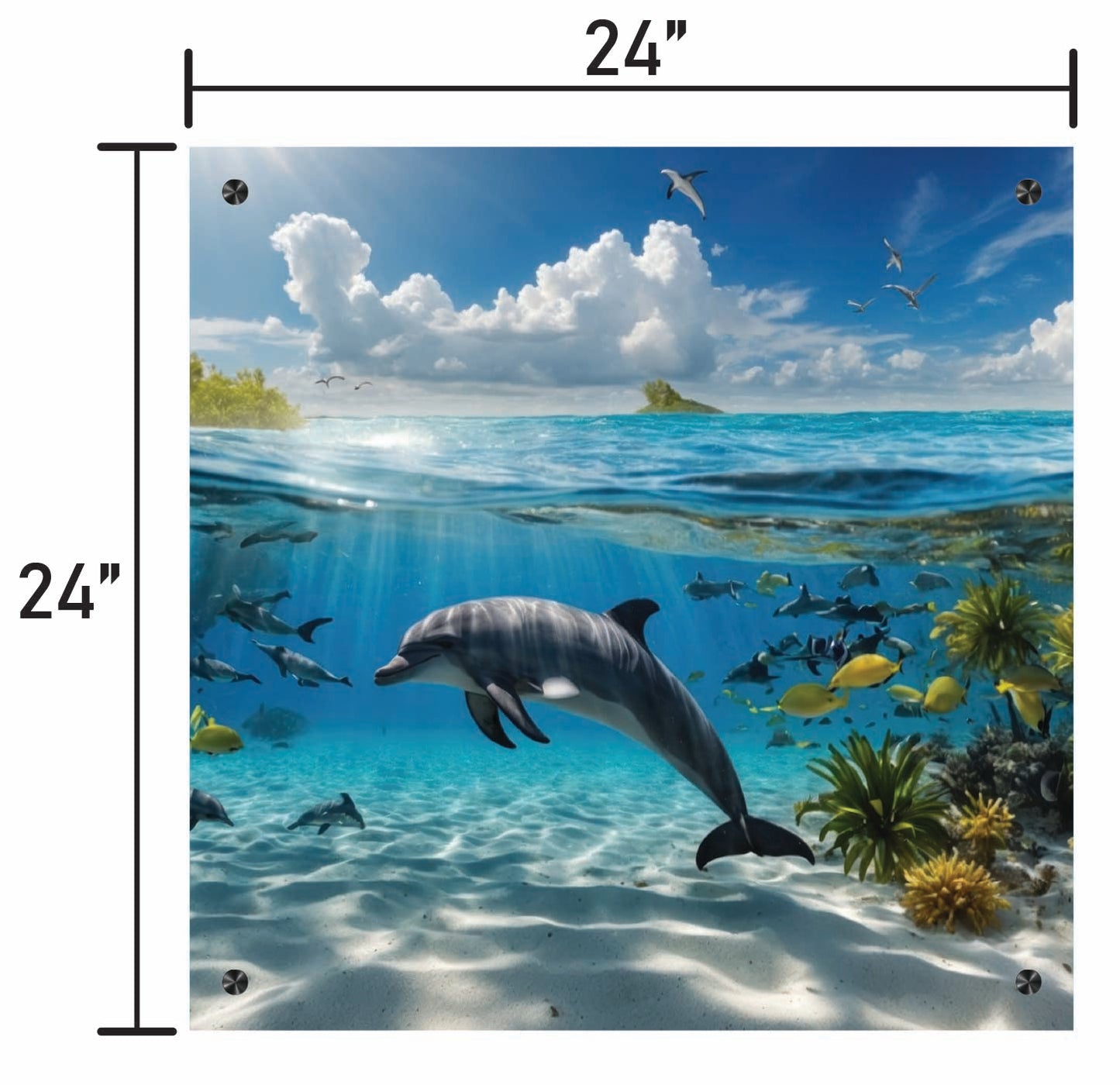 Dance of the Dolphin