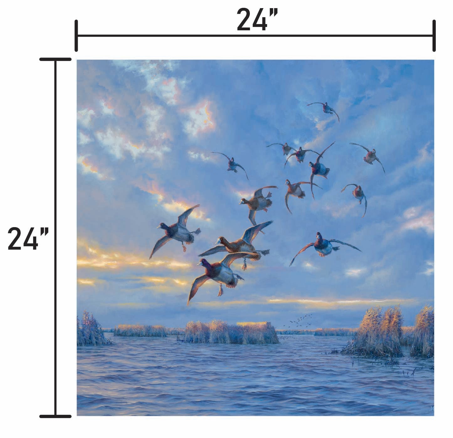 The Straights - Bluebills