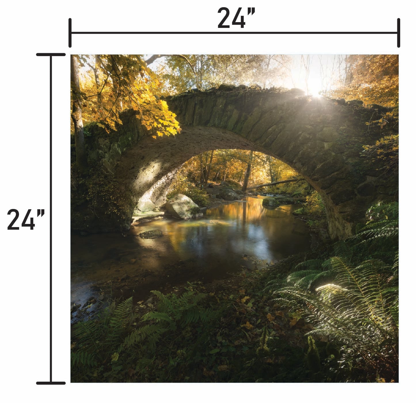 When Time Stood Still