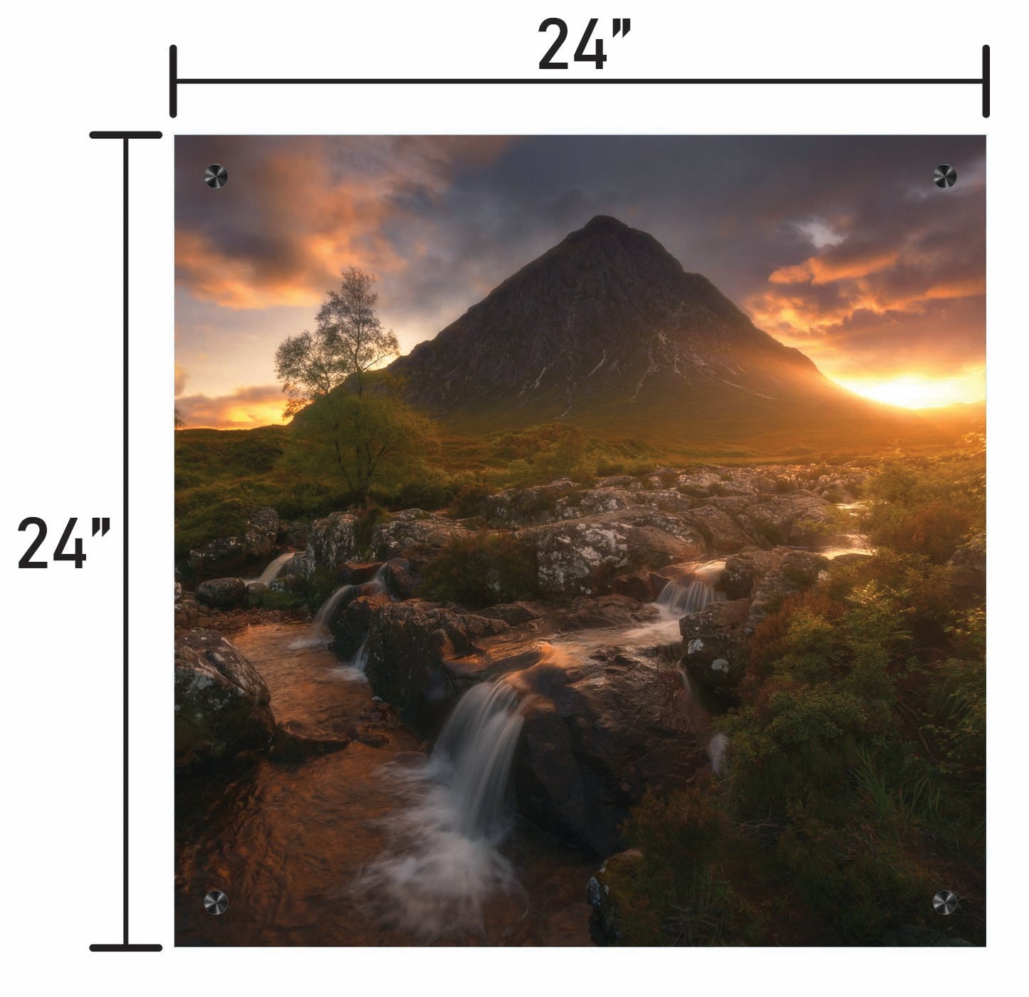 The Highland Awakens