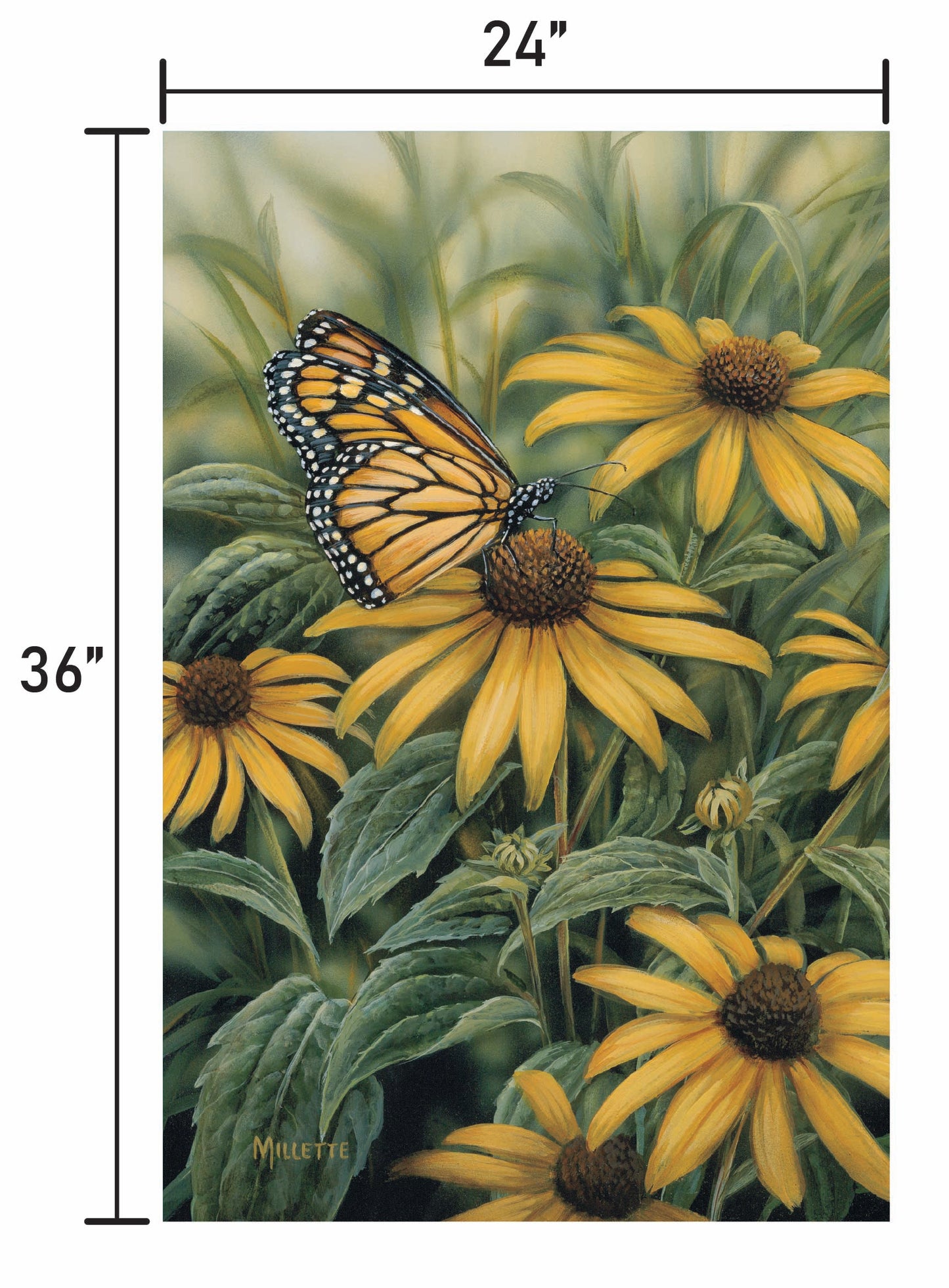 Monarch-Butterfly