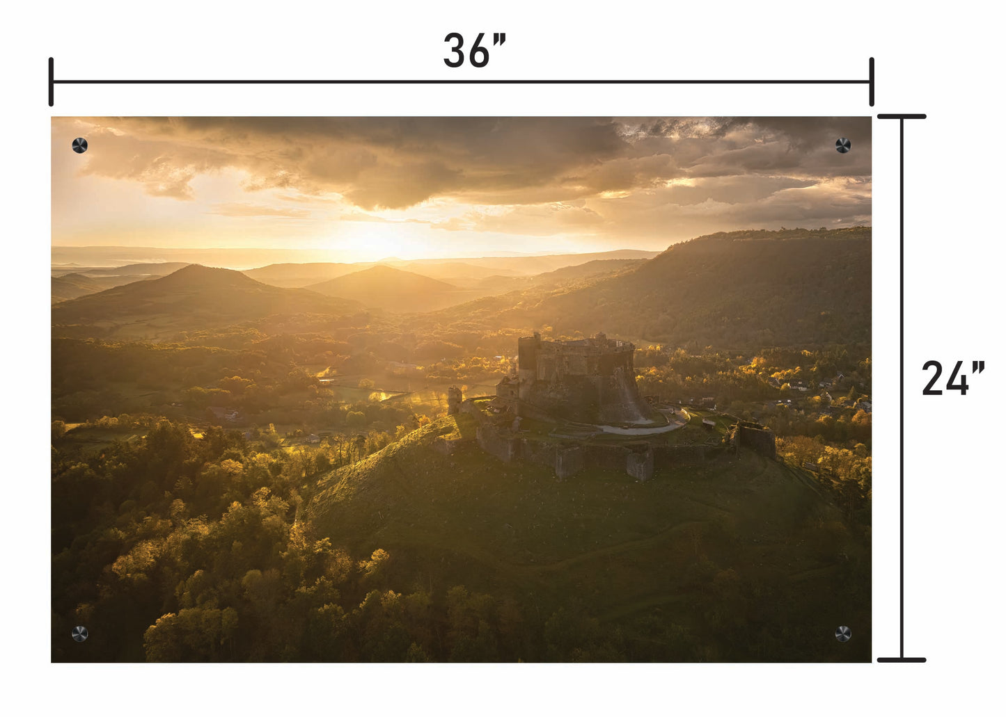 Beneath a Golden Sky