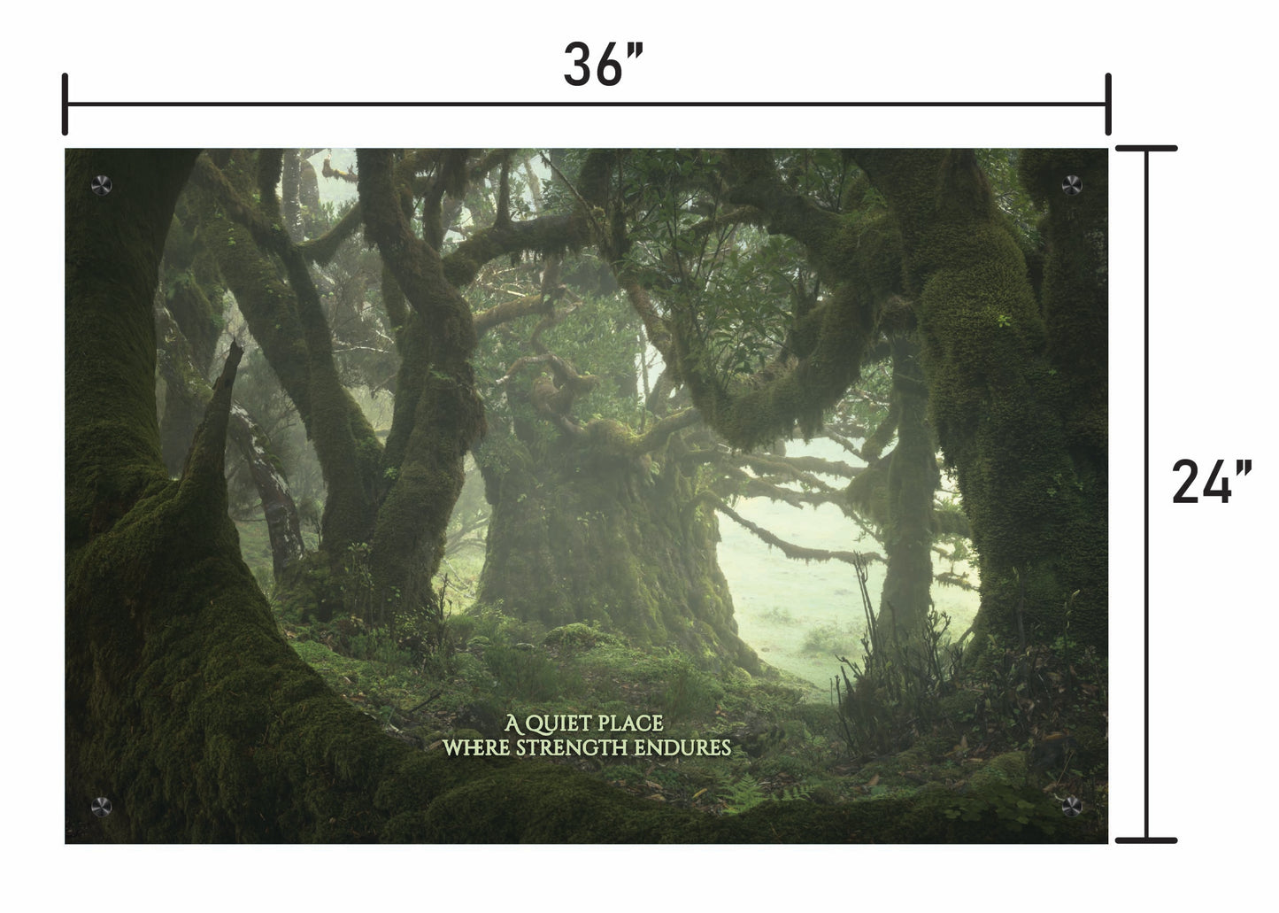 Among the Ancients w/ Quote