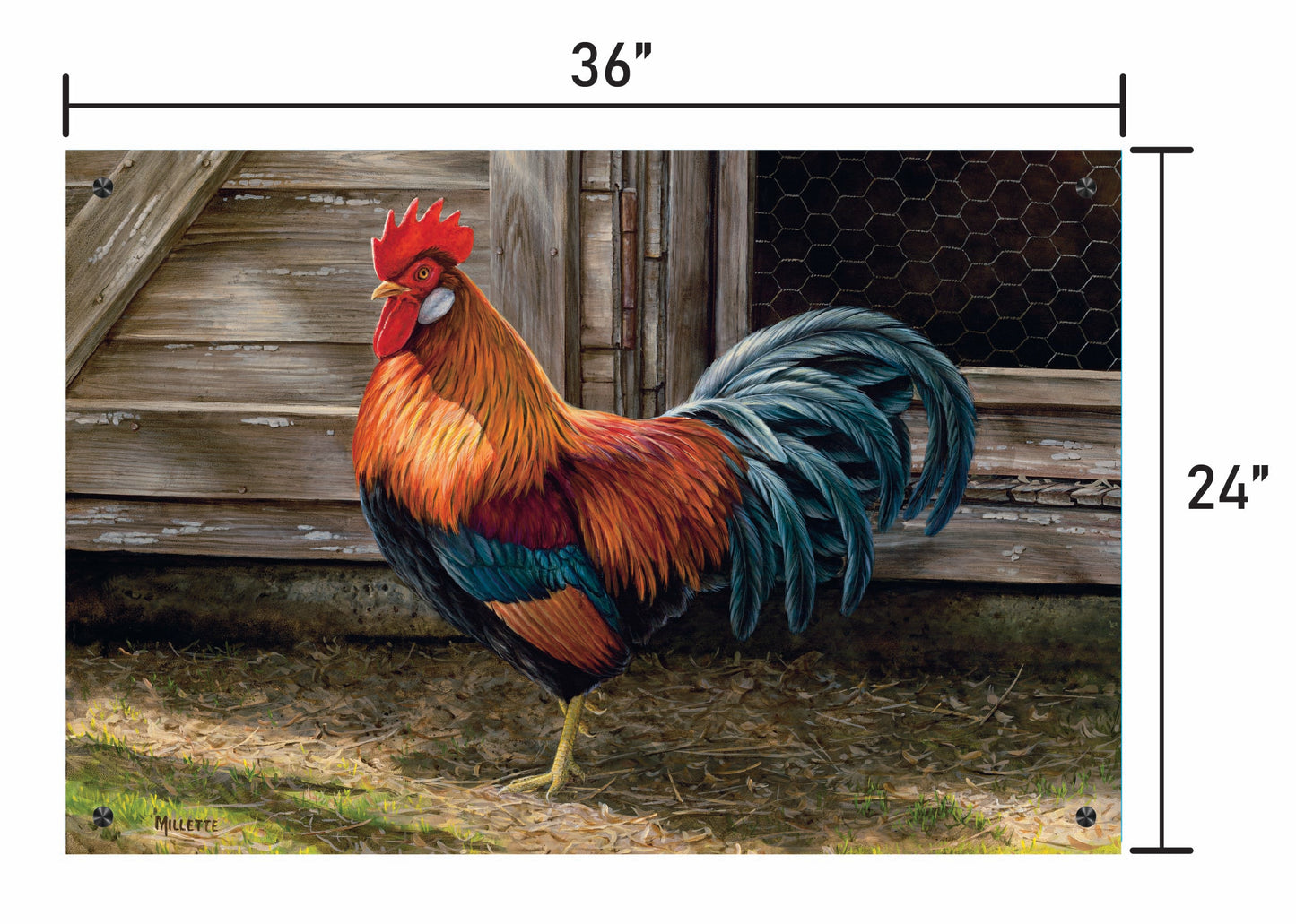 Light Brown Chicken Rooster
