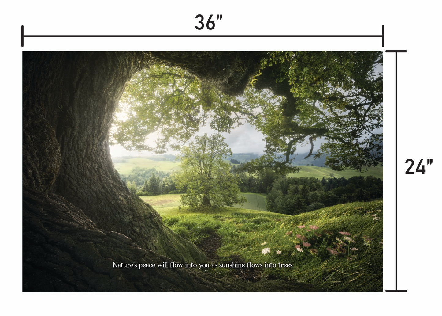Meadows Edge  w/ Quote