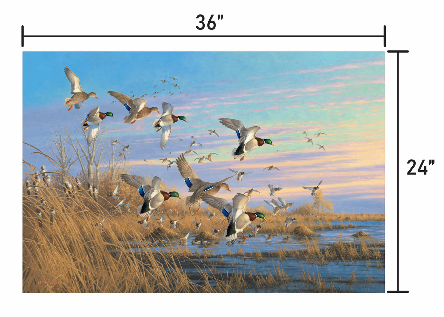 Dropping in Mallards
