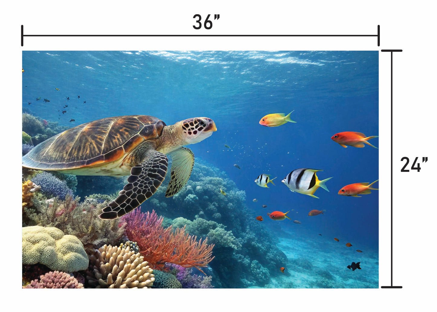 Guardians of the Reef