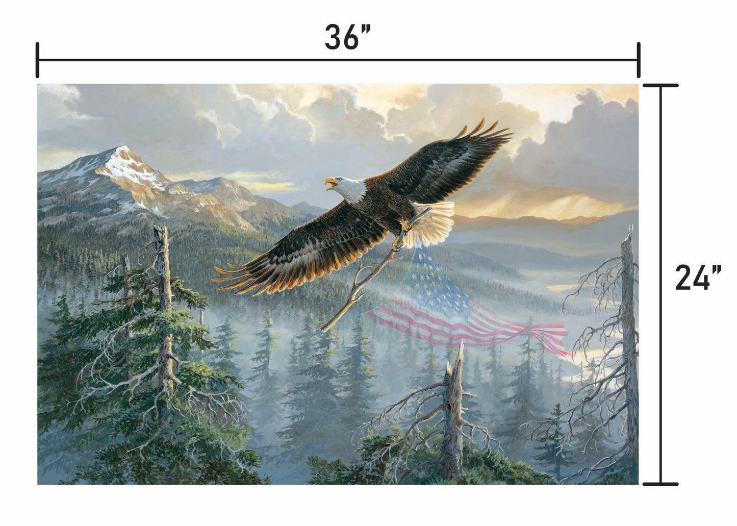 Rebuilding America-Bald Eagle