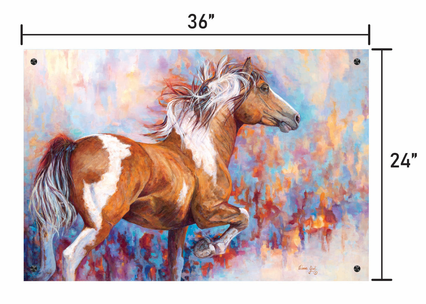 Paint Horse