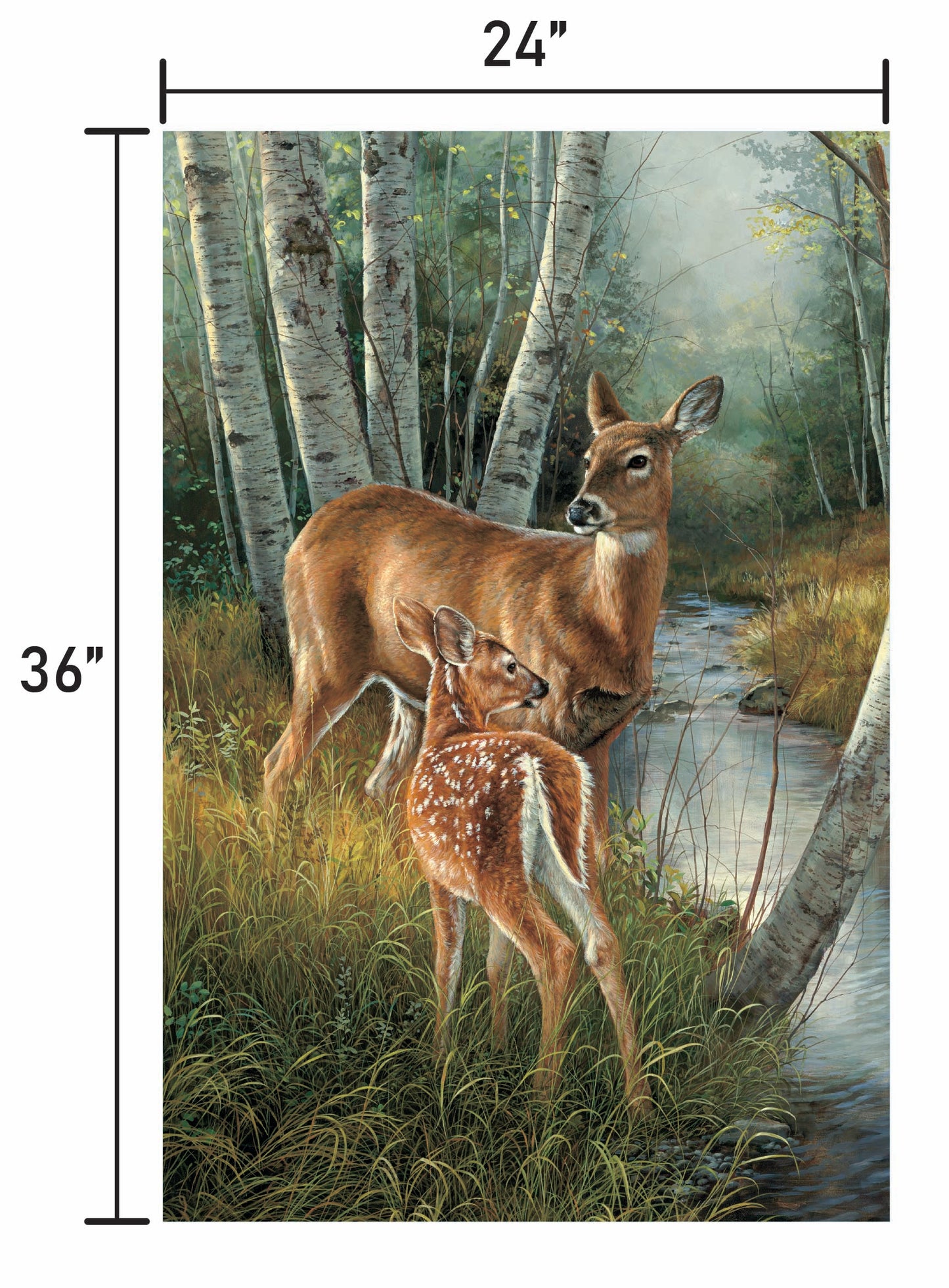 Birch Creek-Whitetail Deer