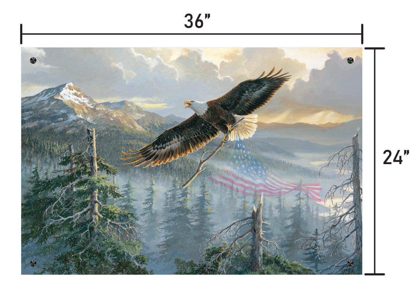 Rebuilding America-Bald Eagle