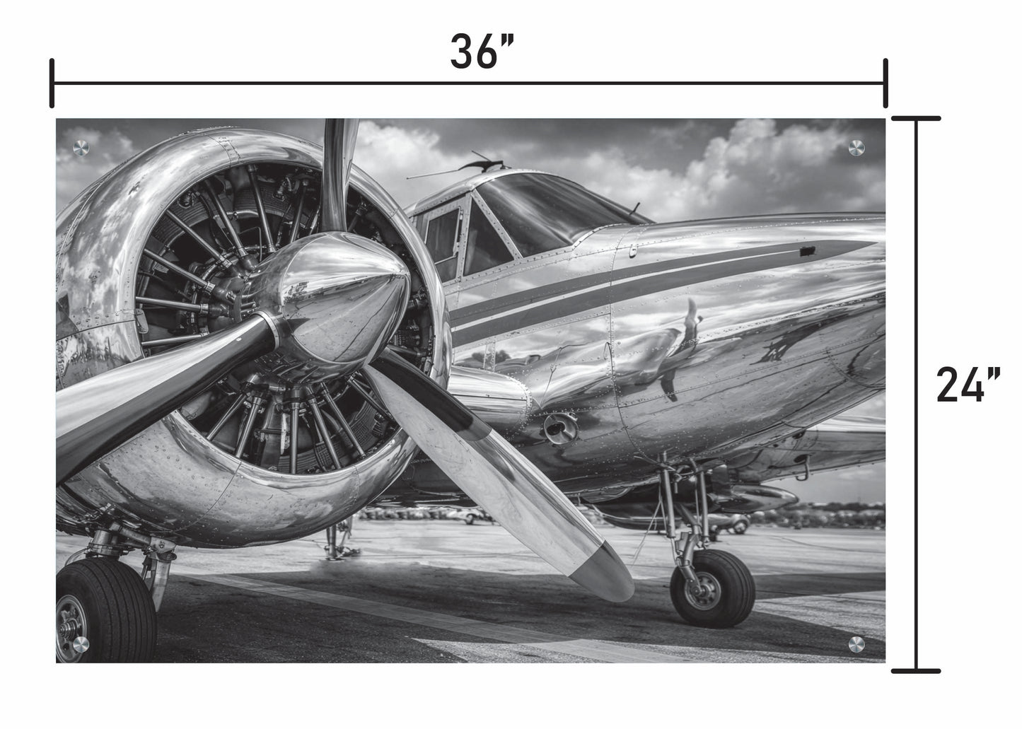 Silver Thunder