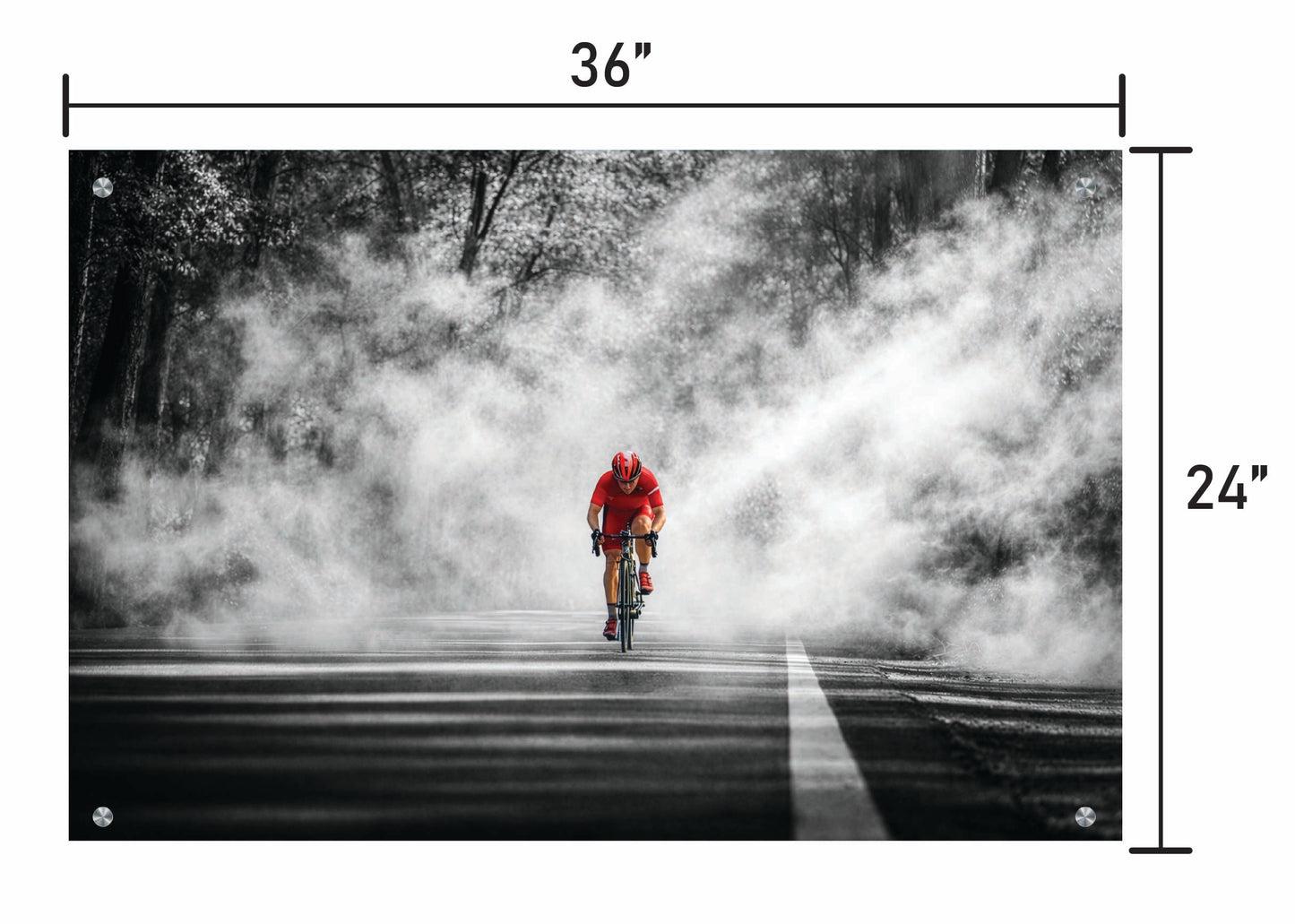 Through the Haze BW