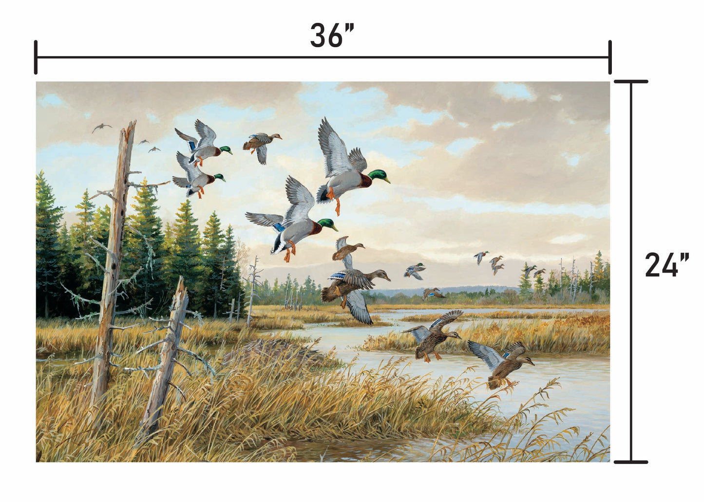 Hidden Pond-Mallards