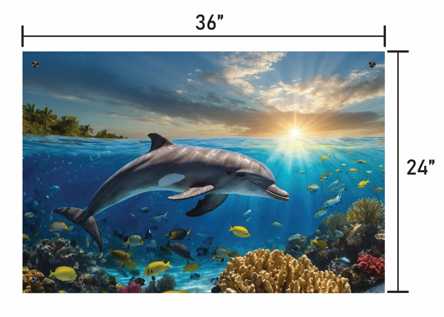 Dolphin Swimming in Coral