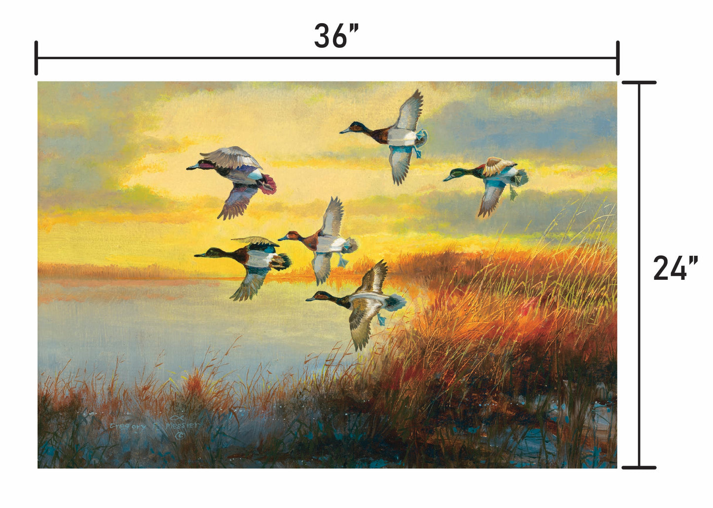 Autumn Sunrise-Bluebills