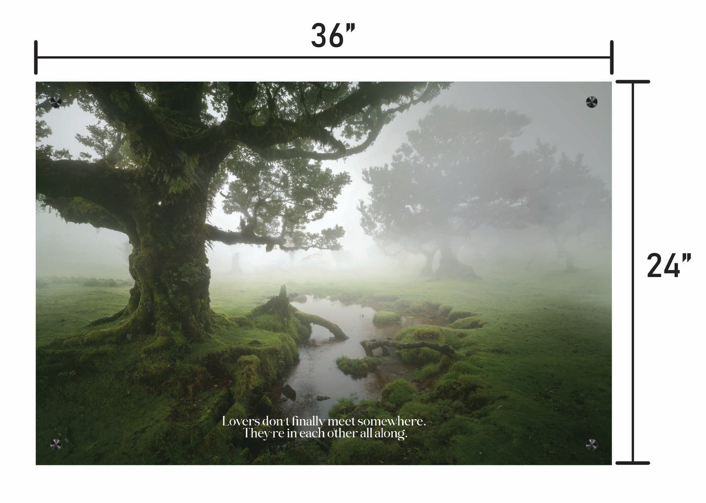 A Foggy Romance w/ Quote