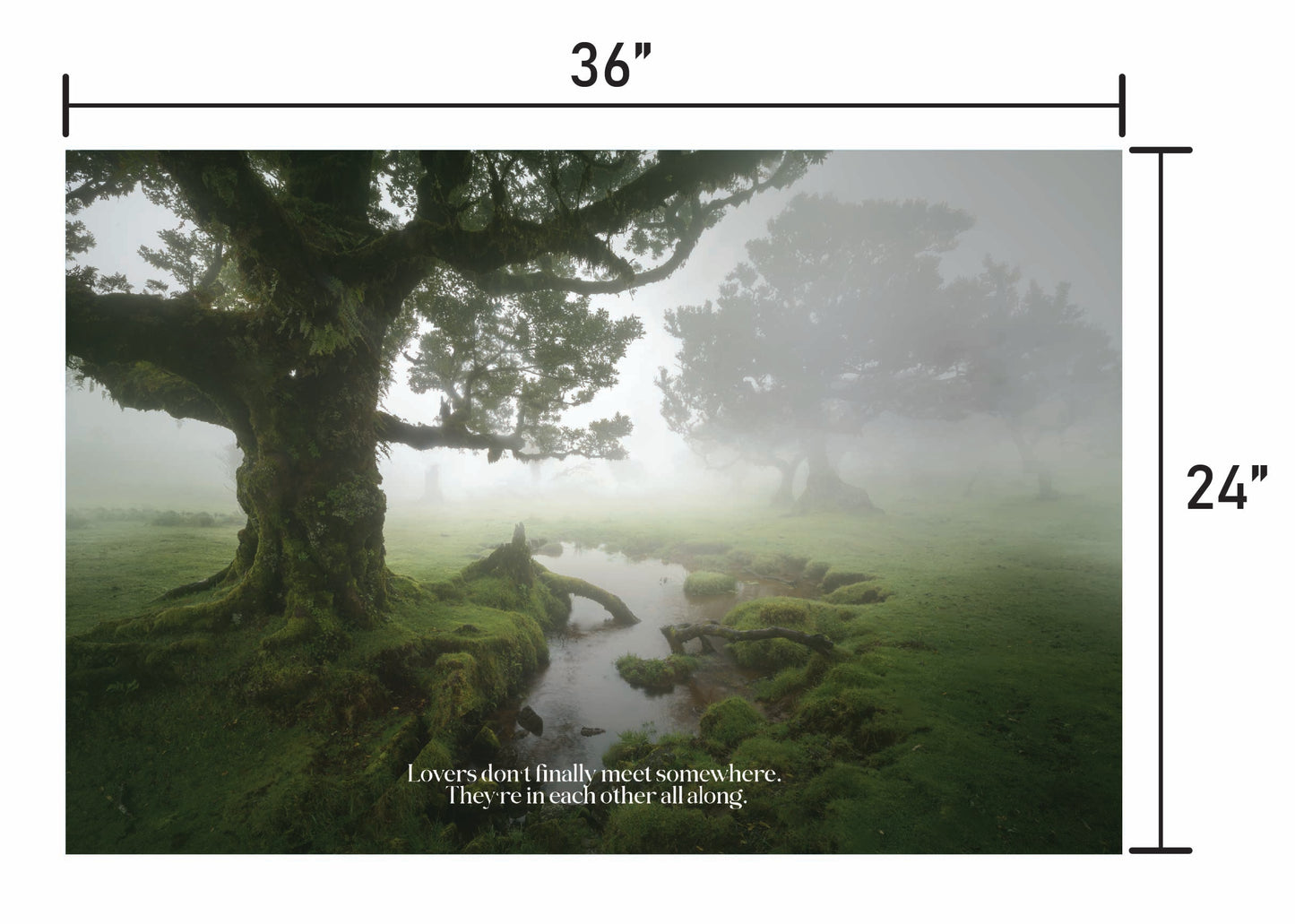 A Foggy Romance w/ Quote