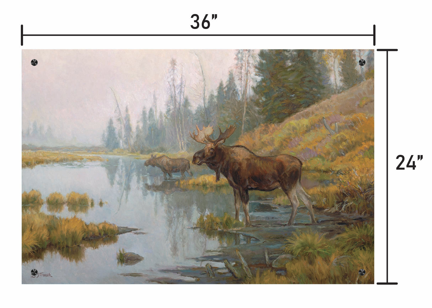 Autumn in Moose Country