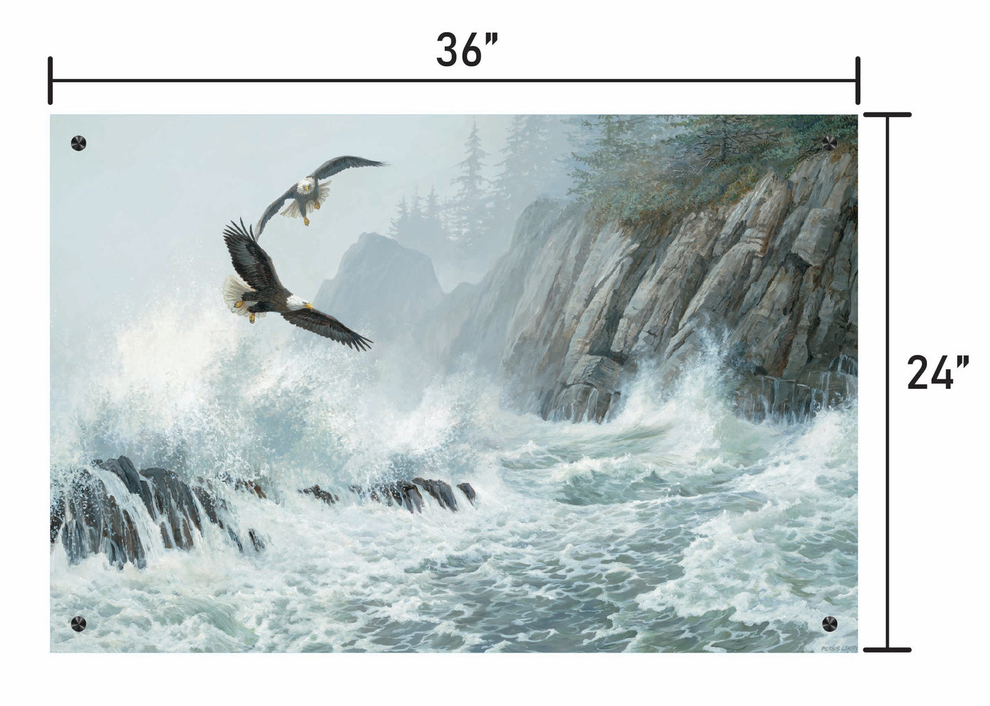 Storm Riders-Bald Eagles