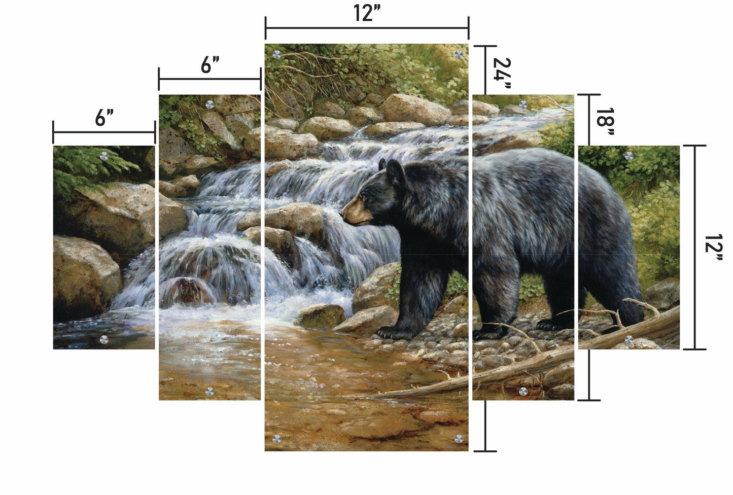 Shadow of the Forest